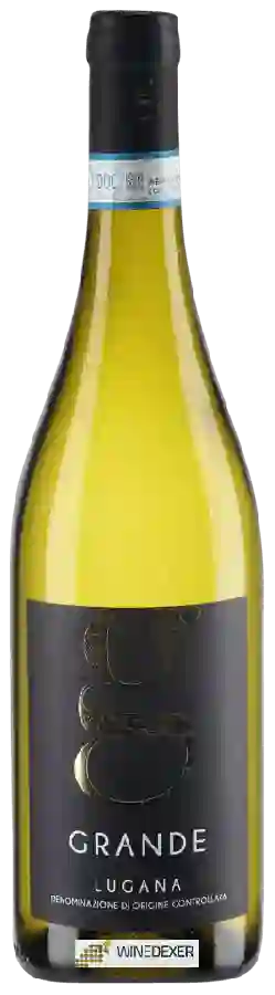 Winery Malavasi - Grande g