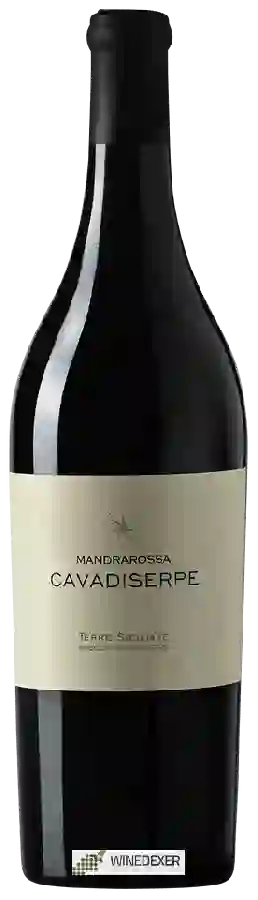 Winery Mandrarossa - Cavadiserpe
