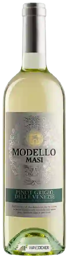 Winery Masi - Modello Pinot Grigio