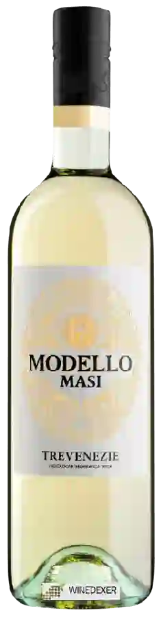 Winery Masi - Modello Trevenezie Bianco Winery Masi - Modello Trevenezie Bianco