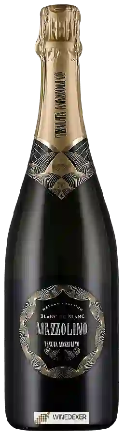 Winery Mazzolino - Blanc de Blanc