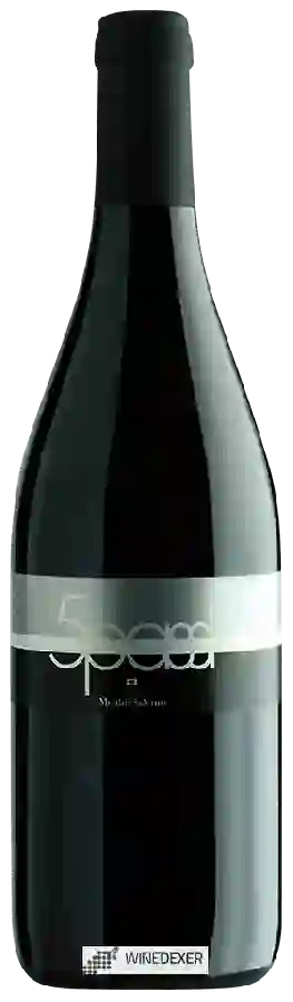 Winery Menhir - 5 Passi Winery Menhir - 5 Passi