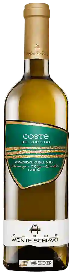 Winery Terre Monte Schiavo - Coste del Molino Classico Winery Terre Monte Schiavo - Coste del Molino Classico