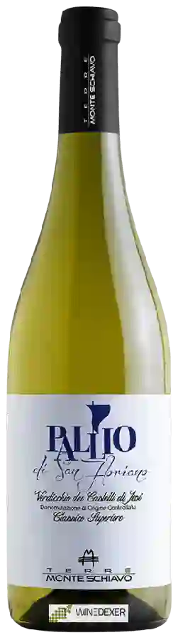 Winery Terre Monte Schiavo - Pallio di San Floriano Verdicchio dei Castelli di Jesi Classico Superiore