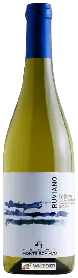 Winery Terre Monte Schiavo - Ruviano Verdicchio dei Castelli di Jesi Classico Winery Terre Monte Schiavo - Ruviano Verdicchio dei Castelli di Jesi Classico