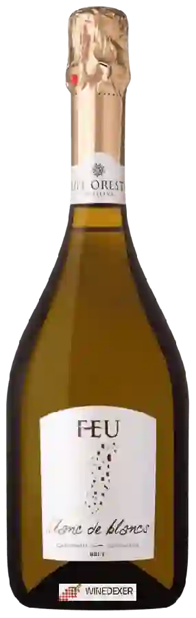 Winery Tenute Orestiadi - Feu Blanc De Blancs Brut Winery Tenute Orestiadi - Feu Blanc De Blancs Brut