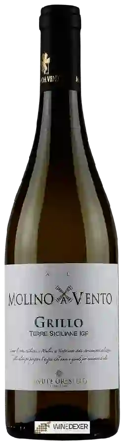 Winery Tenute Orestiadi - Molino a Vento Grillo Winery Tenute Orestiadi - Molino a Vento Grillo