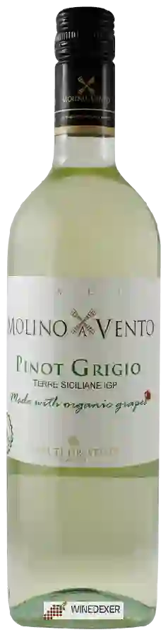 Winery Tenute Orestiadi - Molino a Vento Pinot Grigio