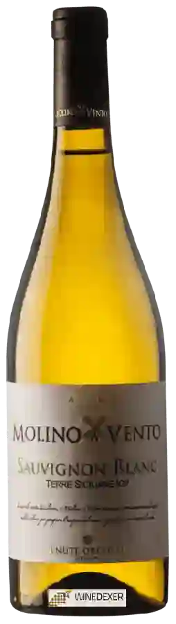 Winery Tenute Orestiadi - Molino a Vento Sauvignon Blanc Winery Tenute Orestiadi - Molino a Vento Sauvignon Blanc