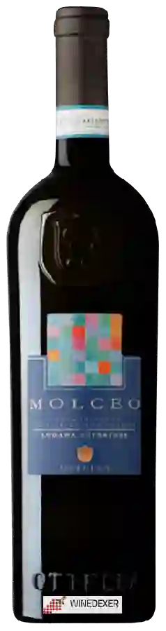 Winery Ottella - Molceo Lugana Superiore Winery Ottella - Molceo Lugana Superiore