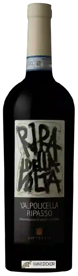 Winery Ottella - Ripa della Volta Valpolicella Ripasso Winery Ottella - Ripa della Volta Valpolicella Ripasso