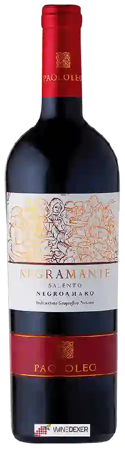 Winery Paololeo - Negramante Salento Negroamaro Winery Paololeo - Negramante Salento Negroamaro