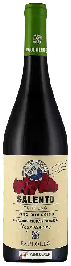 Winery Paololeo - Terreno Salento Negroamaro