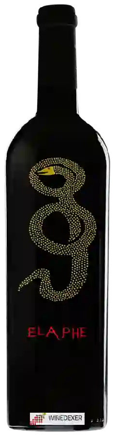 Winery Poderi Marini - Elaphe Winery Poderi Marini - Elaphe
