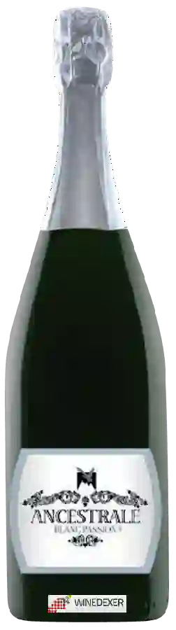 Winery Quatremillemetres - Ancestrale Blanc Passion Winery Quatremillemetres - Ancestrale Blanc Passion