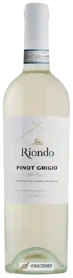 Winery Riondo - Pinot Grigio Delle Venezie