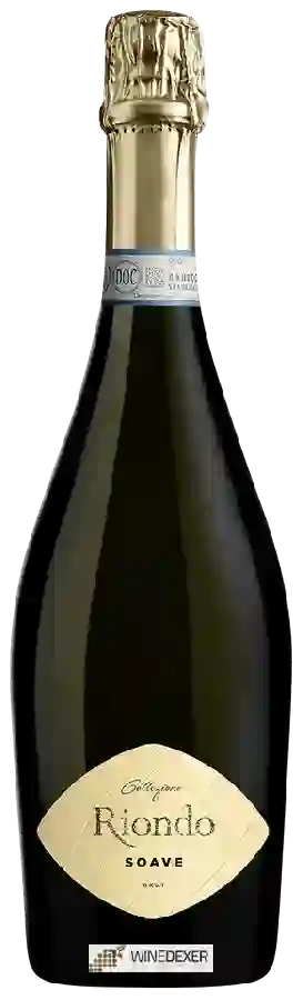 Winery Riondo - Soave Brut