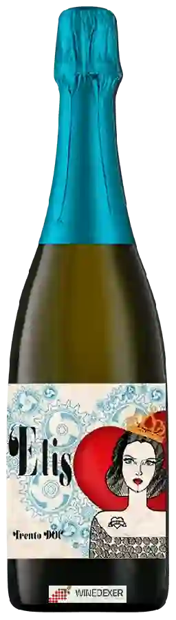 Winery Ritterhof - Elis Winery Ritterhof - Elis