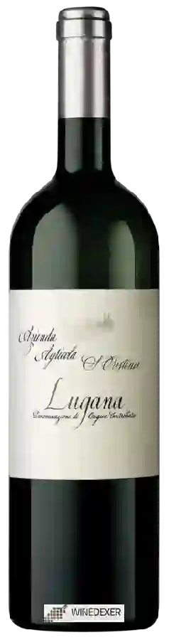 Winery S. Cristina - Lugana Vigneto Massoni