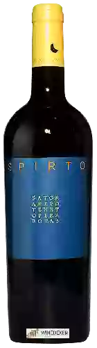 Winery Sant'Agnese - Spirto