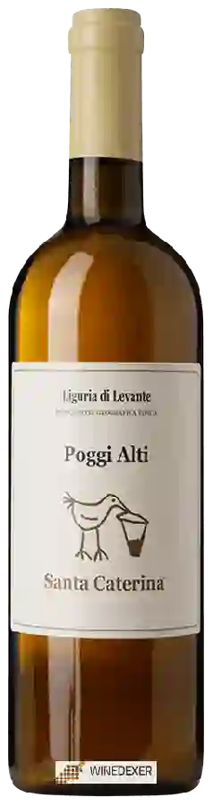 Winery Santa Caterina - Poggi Alti Liguria di Levante Winery Santa Caterina - Poggi Alti Liguria di Levante