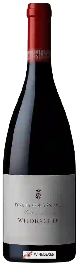Winery Tenuta Col Sandago - Wildbacher