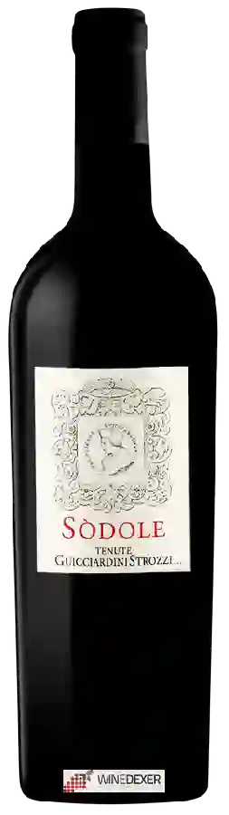 Winery Tenute Guicciardini Strozzi - Sòdole Winery Tenute Guicciardini Strozzi - Sòdole