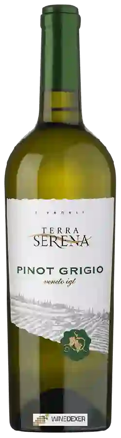 Winery Terra Serena - Pinot Grigio Veneto