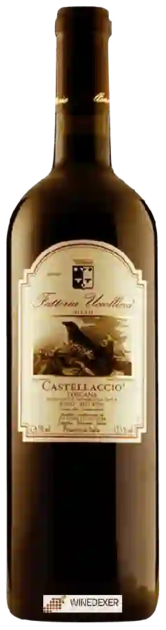 Winery Fattoria Uccelliera - Castellaccio