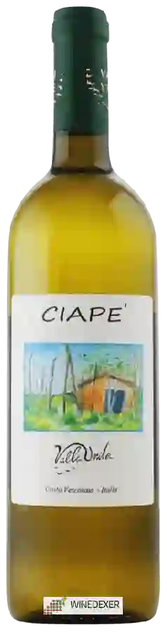 Winery Valli Unite - Ciapè da uve Cortese Winery Valli Unite - Ciapè da uve Cortese