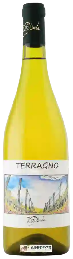 Winery Valli Unite - Terragno