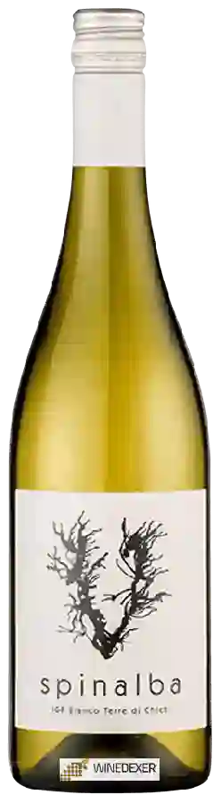 Winery Venea - Spinalba Bianco Terre di Chieti