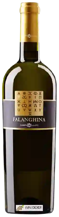 Winery Villa Matilde - Campostellato Falanghina