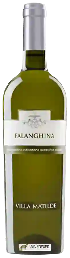 Winery Villa Matilde - Falanghina Roccamonfina Winery Villa Matilde - Falanghina Roccamonfina