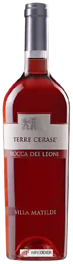 Winery Villa Matilde - Terre Cerase (Rocca dei Leoni)