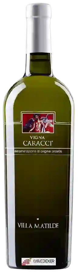 Winery Villa Matilde - Vigna Caracci Winery Villa Matilde - Vigna Caracci