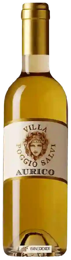 Winery Villa Poggio Salvi - Aurico Winery Villa Poggio Salvi - Aurico