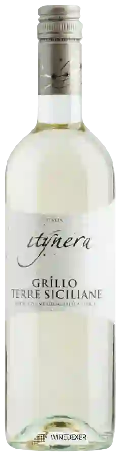 Winery Itinera - Grillo