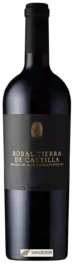 Winery Ivan Barbic MW - Bobal Tierra de Castilla
