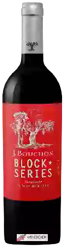 Winery J. Bouchon - Block Series Carmén&egravere