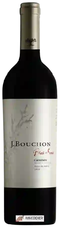 Winery J. Bouchon - Block Series Carménère Reserva Especial