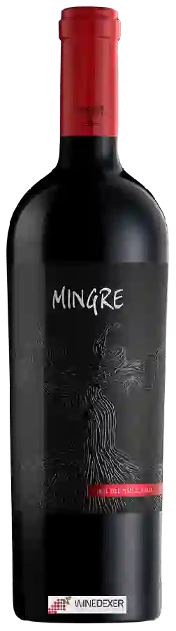 Winery J. Bouchon - Canto Norte Red