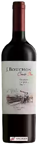 Winery J. Bouchon - Canto Sur Red