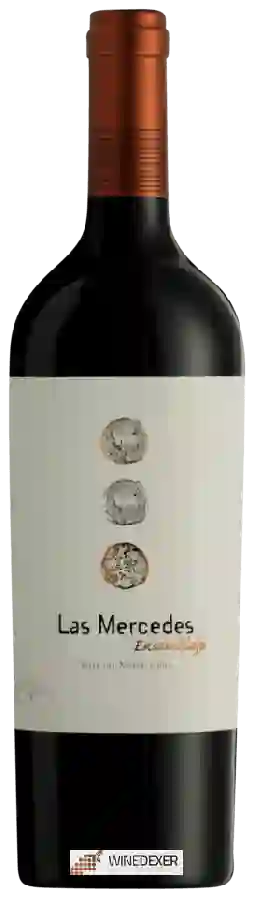 Winery J. Bouchon - Las Mercedes Ensamblaje