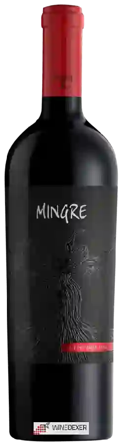 Winery J. Bouchon - Mingre Assemblage Winery J. Bouchon - Mingre Assemblage