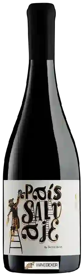 Winery J. Bouchon - Pais Salvaje