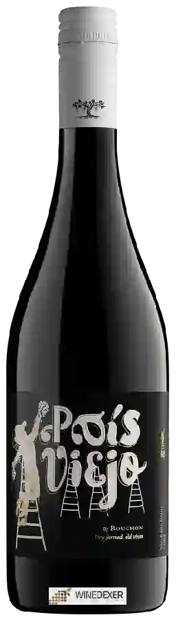 Winery J. Bouchon - Pais Viejo Old Vines