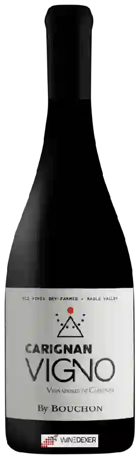 Winery J. Bouchon - Vigno Carignan Winery J. Bouchon - Vigno Carignan