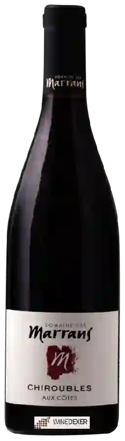Domaine des Marrans - Chiroubles Aux Côtes Domaine des Marrans - Chiroubles Aux Côtes
