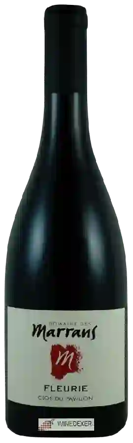 Domaine des Marrans - Clos du Pavillon Fleurie Domaine des Marrans - Clos du Pavillon Fleurie